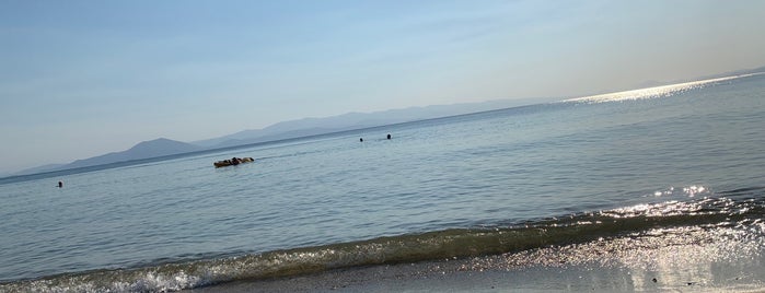 Abovos Beach is one of Volos.