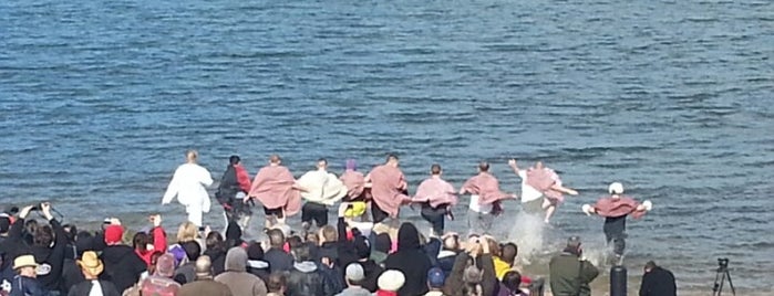 Polar plunge is one of Things To Do in the Lou.