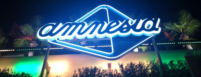 Amnesia Ibiza is one of Best of Ibiza.