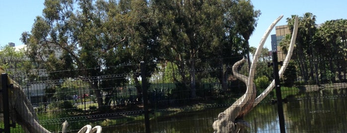 La Brea Tar Pits & Museum is one of USA Trip 2013 - The West.
