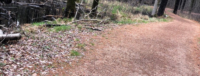 The Brickyard Trail - Green Circle Trail is one of WI.