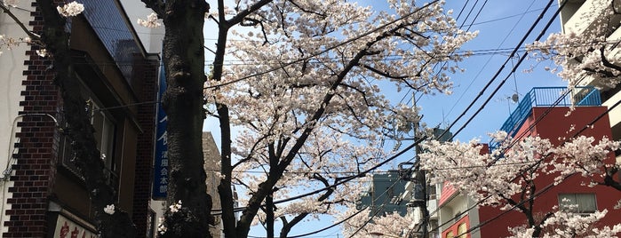 かんかん森通り is one of Tokyo Central.