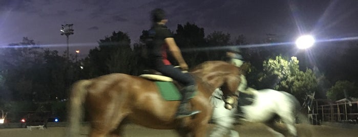 Azmoon Horse Riding Club | باشگاه سوارکاری آزمون is one of Parisa : понравившиеся места.