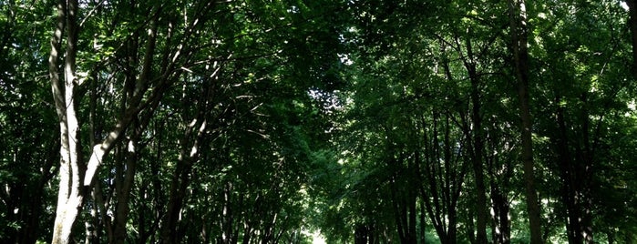 Парк 50-летия Октября is one of [VISITED] Парки и скверы Минска.