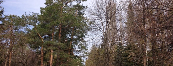 Парк им. Ленина (сад А. Матросова) is one of Park.