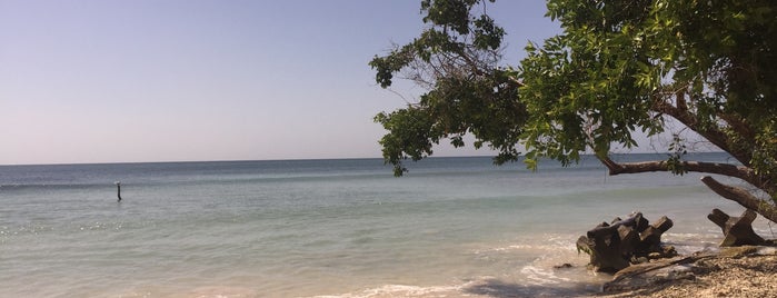 Baru Playa Eco Beach Resort is one of Cartagena.