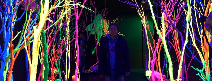 Meow Wolf is one of Do you know the way to Santa Fe.