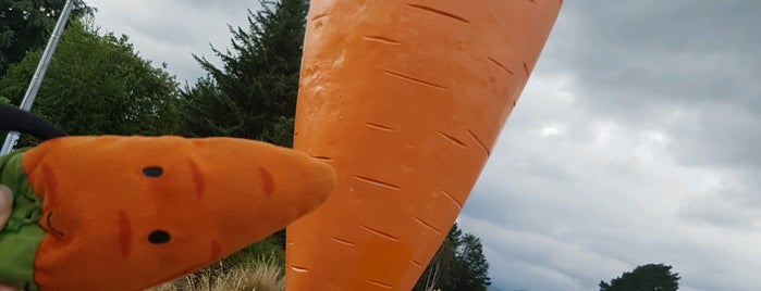 The Giant Carrot is one of Locais salvos de Stacy.