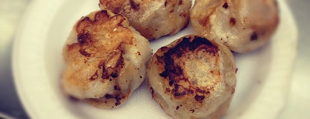 Fried Dumpling is one of Best NYC Dumpling Spots.