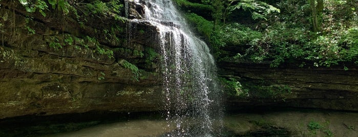Stillhouse Hollow Falls State Natural Area is one of Waterfalls - 2.