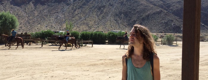 Smoke Tree Stables is one of Palm Springs Exploring.