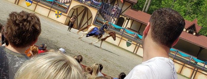 The Georgia Renaissance Festival is one of Places to go this week!.