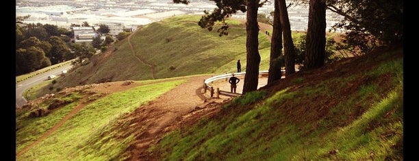 Bernal Heights Park is one of 47* hills of San Francisco.