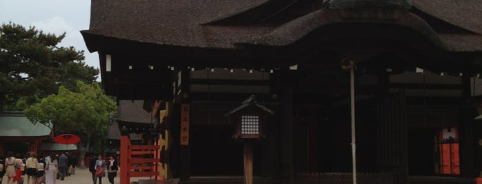 Sumiyoshi-taisha Shrine is one of 八百万の神々 / Gods live everywhere in Japan.