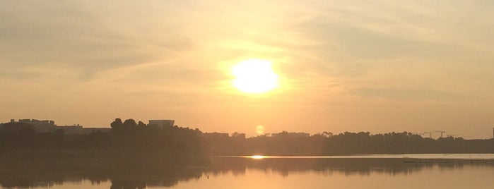 Bedok Reservoir Jetty is one of Around Bedok Reservoir/Ubi.