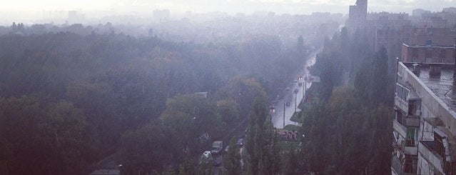 Коминтерновское кладбище is one of Воронеж.