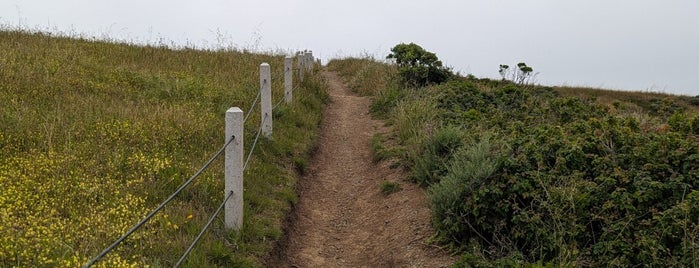 Milagra Ridge County Park is one of Hiking in Bay Area.