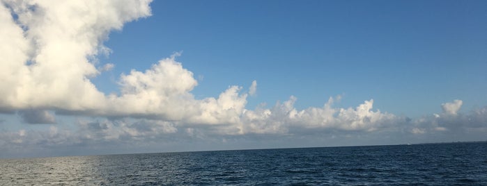 Gulf of Mexico is one of Tempat yang Disukai Terri.