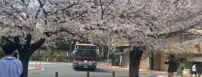 덴엔 초후 역 is one of Tokyo - Yokohama train stations.