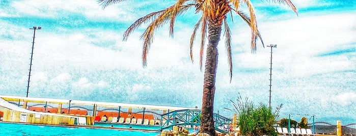 Polat Thermal Hotel Aquapark is one of Havuz.