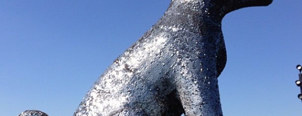 Sun Spot aka the Sparkle Dog is one of Sculpture tour.