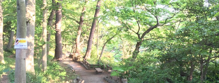 宝来公園 is one of 東京ココに行く！ Vol.30.