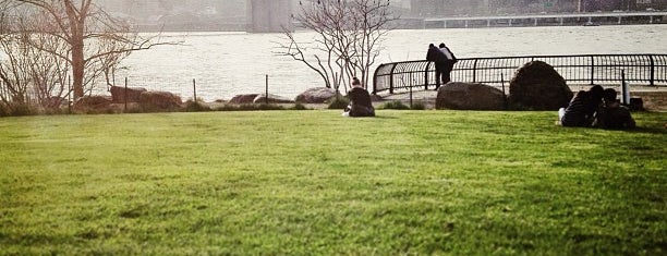 Brooklyn Bridge Park is one of NYC Does.