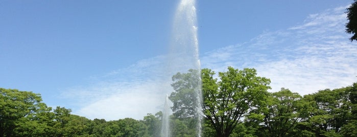 Yoyogi Park Fountain is one of สถานที่ที่บันทึกไว้ของ Hide.