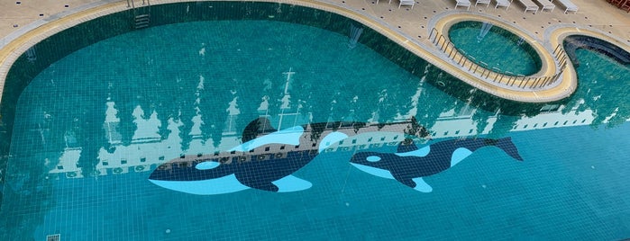 Swimming Pool is one of ที่พัก หาดกะตะ.