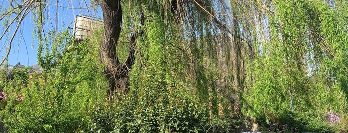 Luna Llena is one of cajón del maipo por ir.