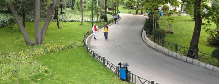 Mellat Park is one of My Favorite Places in Tehran 1.