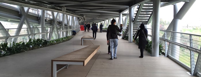 Tabiat Bridge | پل طبیعت is one of My Favorite Places in Tehran 1.