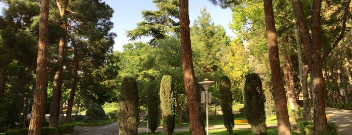 Saee Park | پارک ساعی is one of Tehran Attractions.