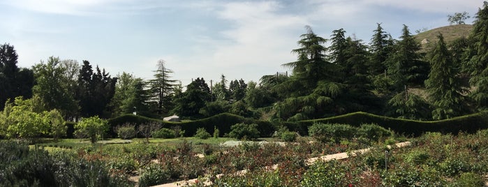 National Botanical Garden | باغ گياه شناسی ملی ايران is one of Tehran Attractions.