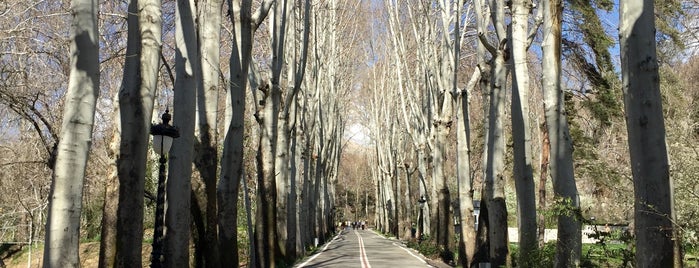 Sadabad Sarayı is one of My Favorite Places in Tehran 1.