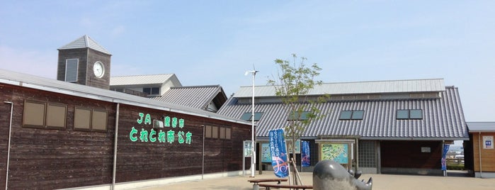 道の駅 公方の郷なかがわ is one of 道の駅.