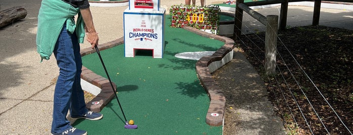 City Mini Golf is one of Chicago.