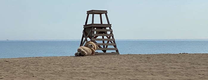 Oakwood / 41St Street Beach is one of David 님이 좋아한 장소.