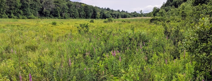 Mashamoquet Brook State Park is one of Lugares guardados de Candice.