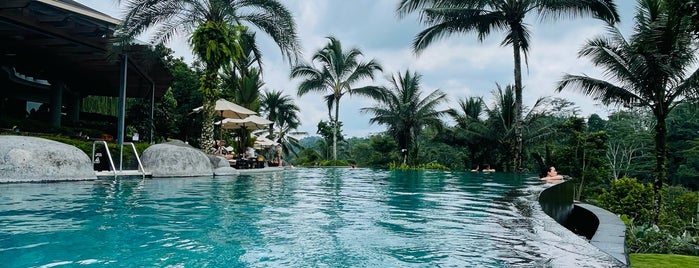Swimming Pool @ Padma Resort Ubud is one of Bali.