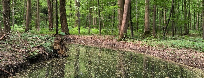 Siebentischwald is one of Augsburg.