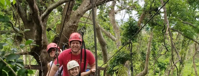 EcoQuest Campo Rico is one of Puerto Rico.