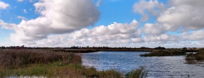 Strumpshaw Fen RSPB Reserve is one of RSPB Nature Reserves.
