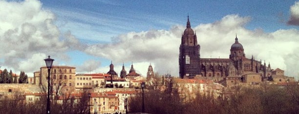 Puente Romano is one of Salamanca 🇪🇸.