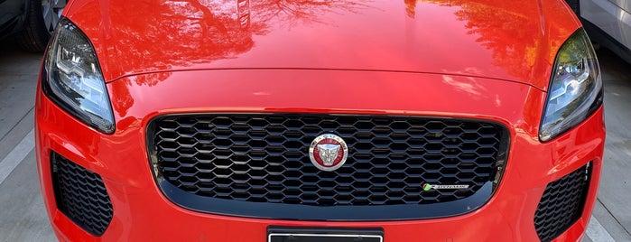 Rusnak/Pasadena Jaguar is one of motorsports + cars.