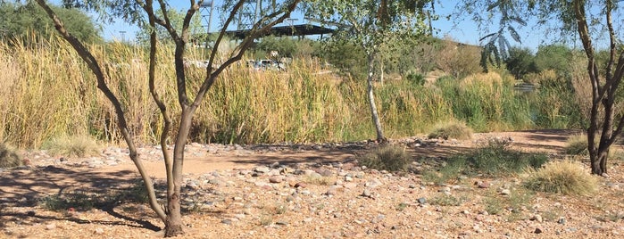 Diamondbacks Spring Training Facility is one of Show Baseball Road Trip.