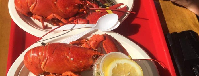 Newport Lobster Shack is one of Escape Guide // Newport, RI.