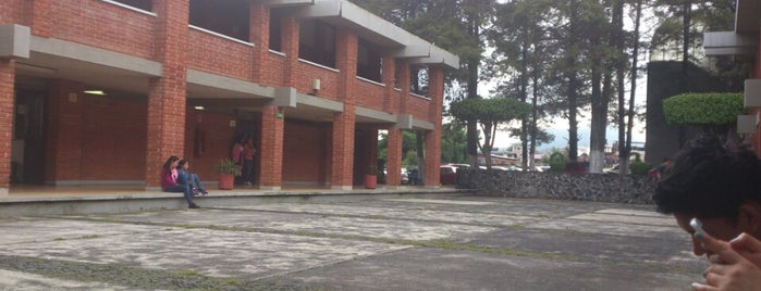 Universidad Don Vasco, A.C. is one of Tempat yang Disukai Vivis.