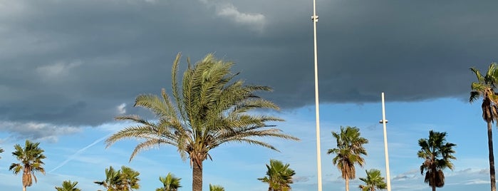 Agua de Coco is one of Vacaciones GANDIA.