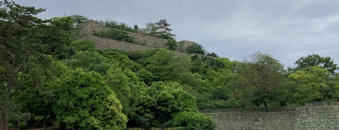 丸亀城 is one of 日本100名城.